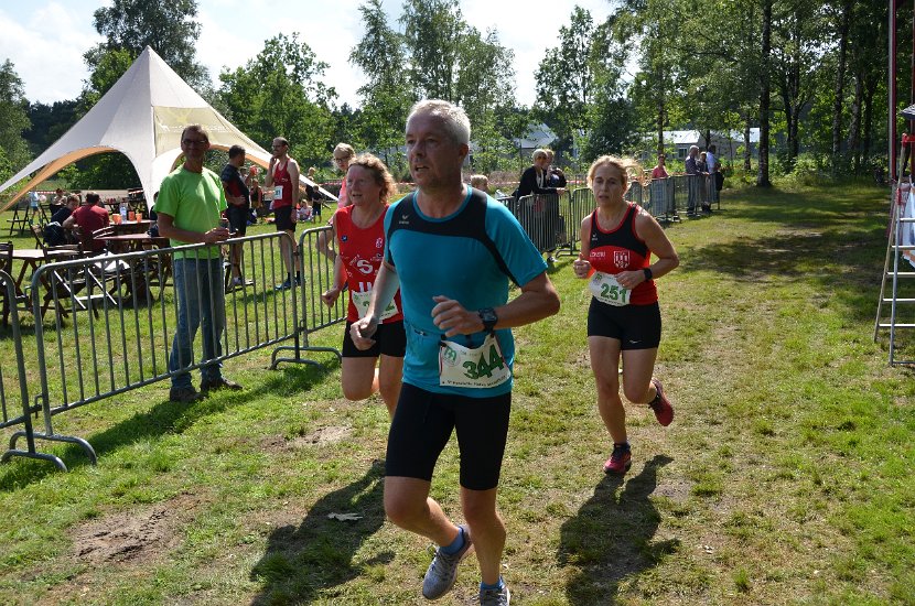 estafette deel 1 - 2017 - 384